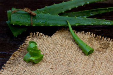 AloeVera taze yaprak üzerinde ahşap. Metin için yer