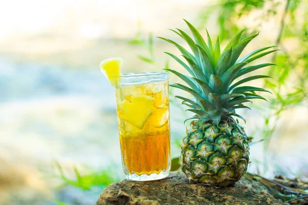 Yenilemek için kopya alanı ananas suyu.