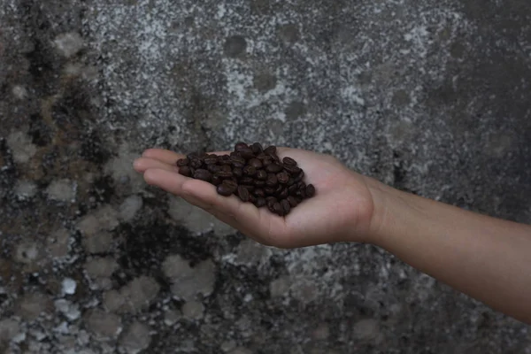 Coffee beans in hands on wood background — Stock Photo, Image