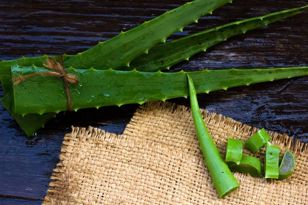 AloeVera taze yaprak üzerinde ahşap. Metin için yer