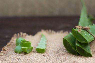 AloeVera taze yaprak üzerinde ahşap. Metin için yer