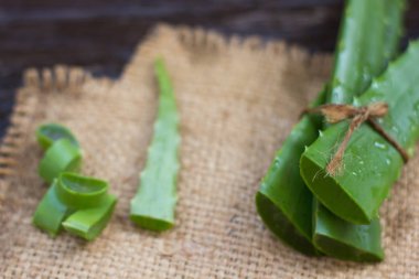 AloeVera taze yaprak üzerinde ahşap. Metin için yer