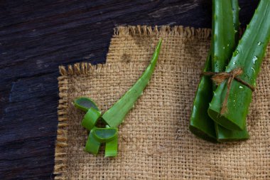 AloeVera taze yaprak üzerinde ahşap. Metin için yer