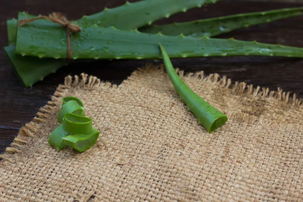 AloeVera taze yaprak üzerinde ahşap. Metin için yer