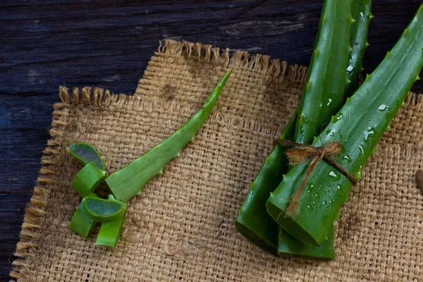 AloeVera taze yaprak üzerinde ahşap. Metin için yer