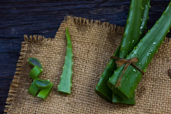 AloeVera taze yaprak üzerinde ahşap. Metin için yer