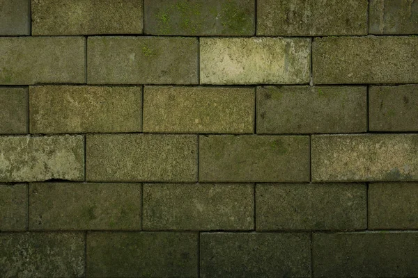 Brick wall picture has a little moss