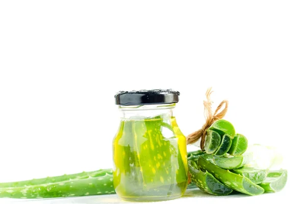 Aloe Vera bitki beyaz bir arka plan üzerinde