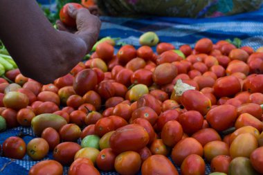 Yerdeki bir domates almak