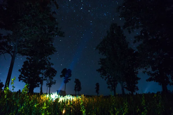 Sonnenhanfblüte in der Nacht mit vollem Himmel — Stockfoto