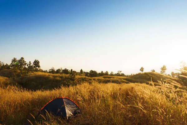 Ao ar livre acampamento grama montanhas no por do sol — Fotografia de Stock