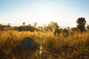 açık havada kamp çim highlands dağ günbatımında.