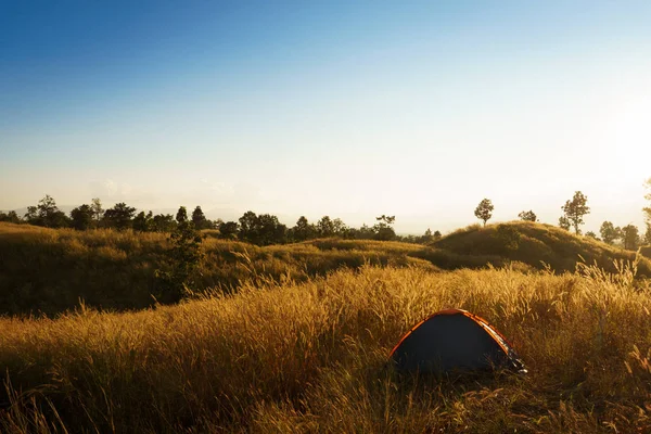 Plein Air Camping Herbe Montagnes Montagneuses Dans Coucher Soleil — Photo