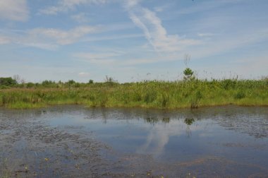 Yağmurdan sonra yaz aylarında alışılmadık bulutlar