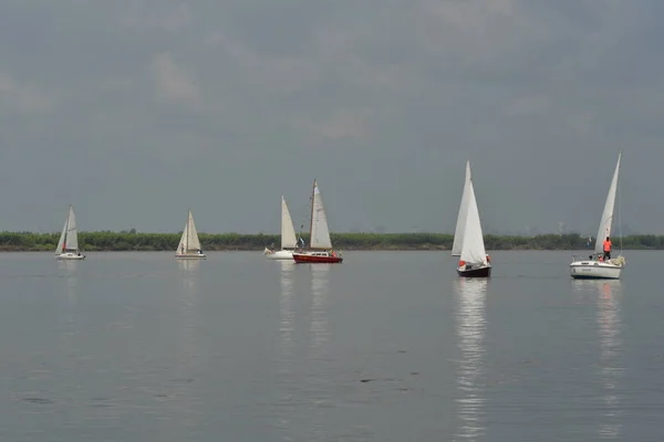 Jachty Żaglowe Nad Rzeką — Zdjęcie stockowe