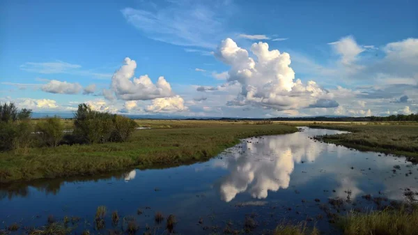 Ovanliga Moln Sommaren Efter Regnet Stockbild