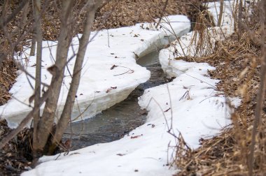Bahar orman akarsu ile eritin su