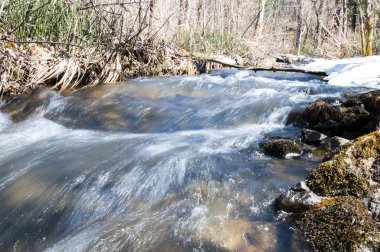 Bahar orman akarsu ile eritin su