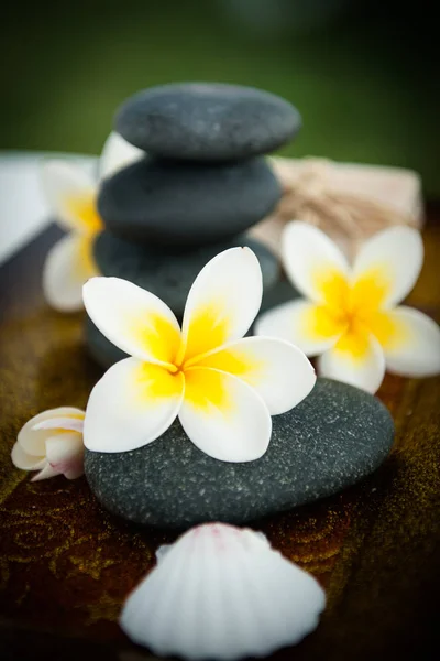 Spa stenar och plumeria — Stockfoto