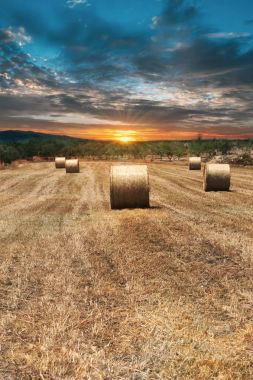 haystacks alanları
