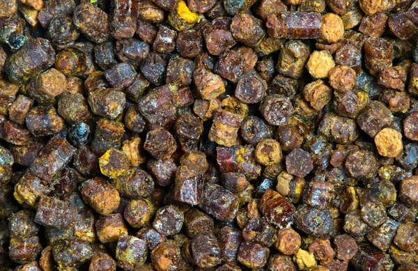 Textura granulí propolis, včelí produkt — Stock fotografie