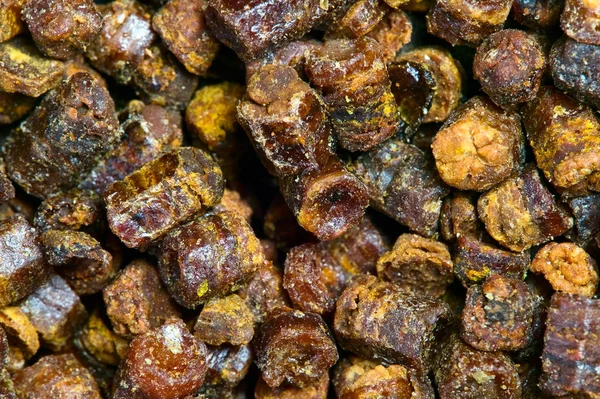 Propolis granules texture, produit apicole — Photo