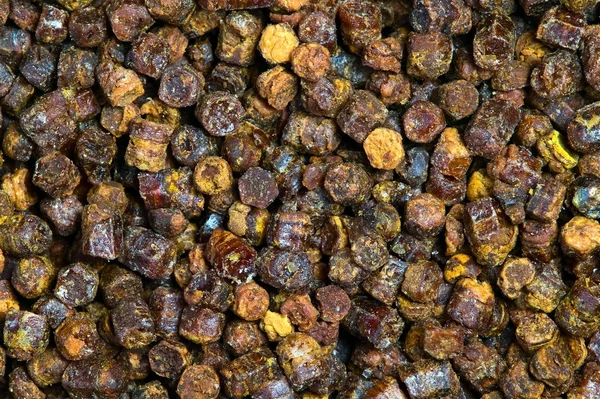 Textura granulí propolis, včelí produkt — Stock fotografie