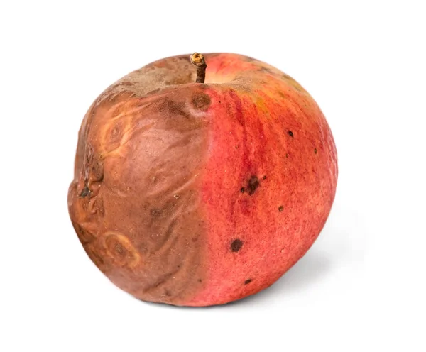 Oude rotten apple op witte geïsoleerde achtergrond — Stockfoto