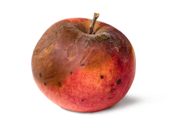 Old rotten apple on white isolated background — Stock Photo, Image