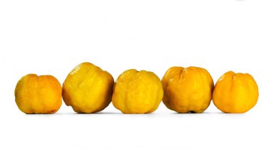 Beyaz arkaplanda bir grup bıldırcın