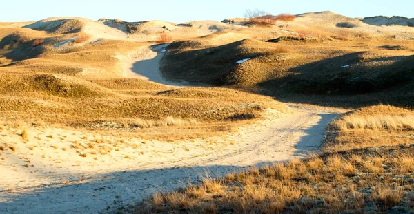 バルト海沿岸の砂丘 — ストック写真