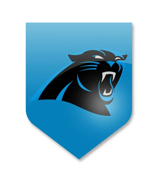 Carolina panthers team — Zdjęcie stockowe