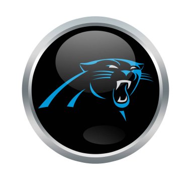 Carolina panthers takımı