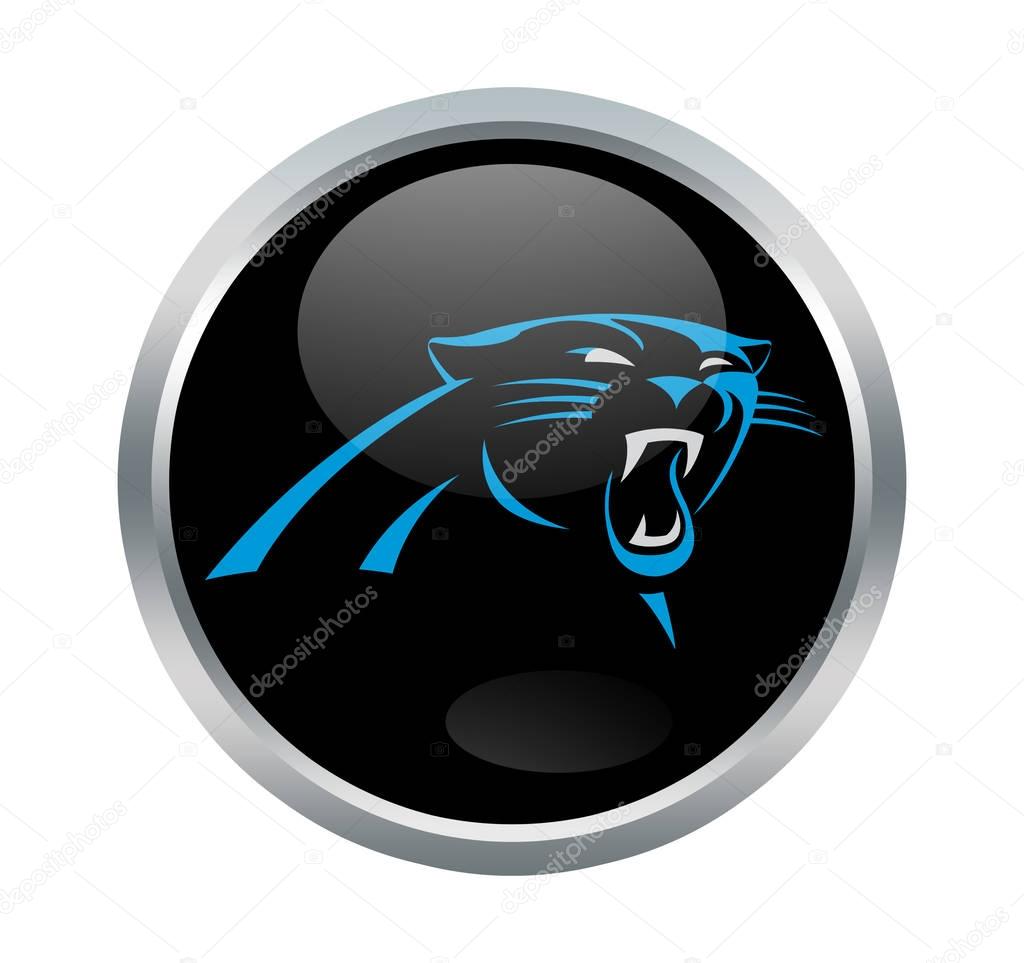 Carolina Panthers NFL team