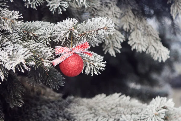 Glänzende Weihnachtskugel mit Schleife auf einem schneebedeckten Baum lizenzfreie Stockfotos