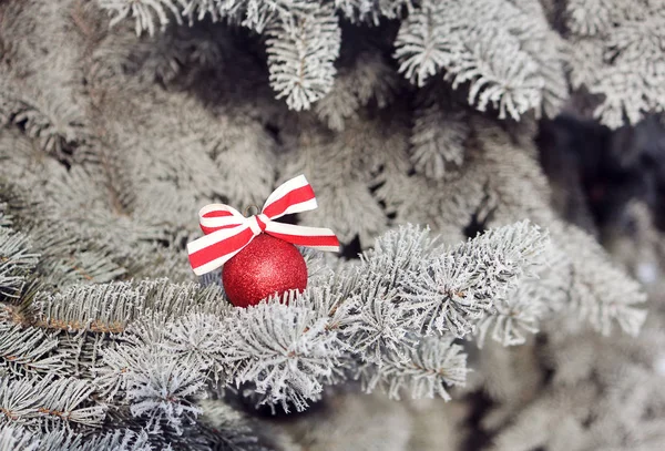 Brillante bola de Navidad con una cinta en un árbol cubierto de nieve. Fondo de Navidad . —  Fotos de Stock