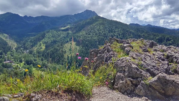 Paisagem de montanha com penhascos de pedra, dia ensolarado de verão. Vista de Nosal Mountain, Tatry, Poland . — Fotografia de Stock