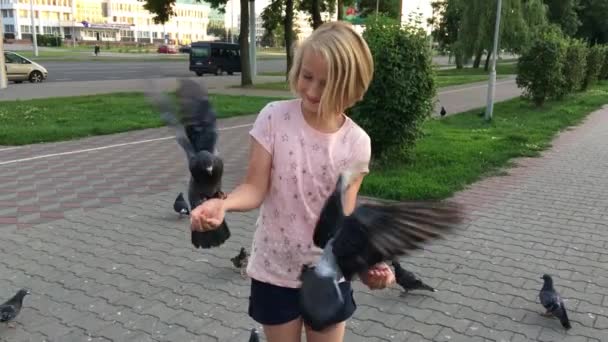 Young girl feeding pigeons sunflower seeds with hands on the street in the city — Stock Video