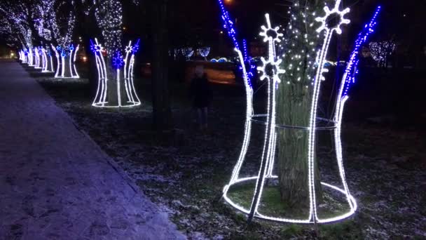 Árboles Con Iluminación Año Nuevo Guirnaldas Led Bombillas Calle Está — Vídeo de stock