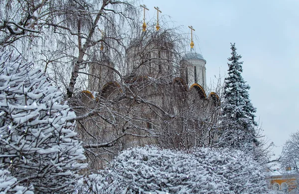 Kostel na pozadí zasněžených stromů — Stock fotografie