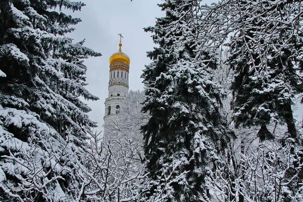 Hermosa iglesia rusa en el fondo de árboles cubiertos de nieve Imagen de stock