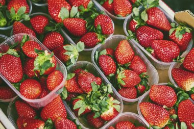 Piyasada plastik kaplar kutularındaki kusurları ile organik doğal kusurlu meyve. Pazarda doğal ekolojik çilek. Yumuşak hipster vintage işleme ve Fotoğraflar tonlama.