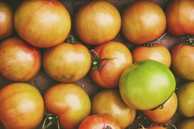 Engelli bir kağıt kutusunda piyasada organik doğal kusurlu sebze. Pazarda doğal ekolojik yeşil domates. Sağlıklı organik gıda için mükemmel arka plan.