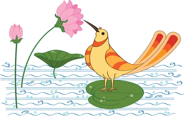 Nectar à boire aux oiseaux (eau sucrée) de la fleur de lotus — Image vectorielle