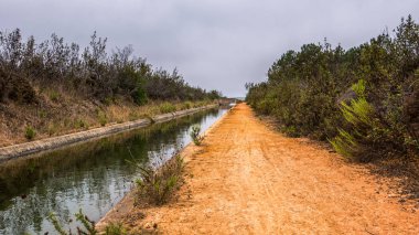 Bir kuru çayırlarda çalıştıran akışı