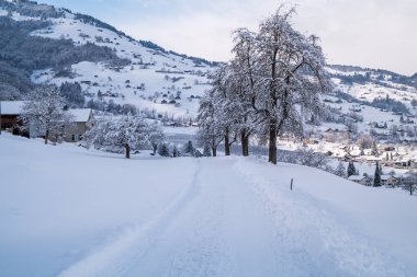 Karla kaplı manzara