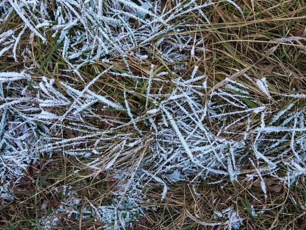 Pozadí - Frost na zemi — Stock fotografie