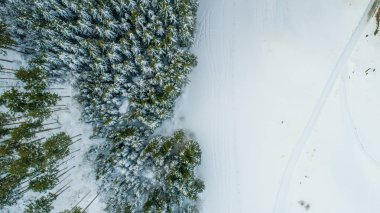 Swiss Winter - Forest from above clipart