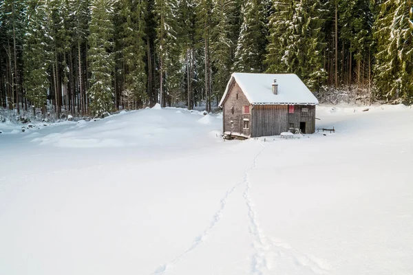 Swiss Winter - Lonely hut in forest — Stock Photo, Image