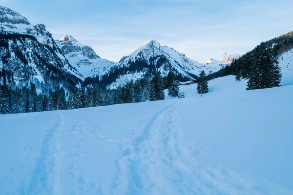 Invierno suizo - Montaña cubierta de nieve — Foto de Stock